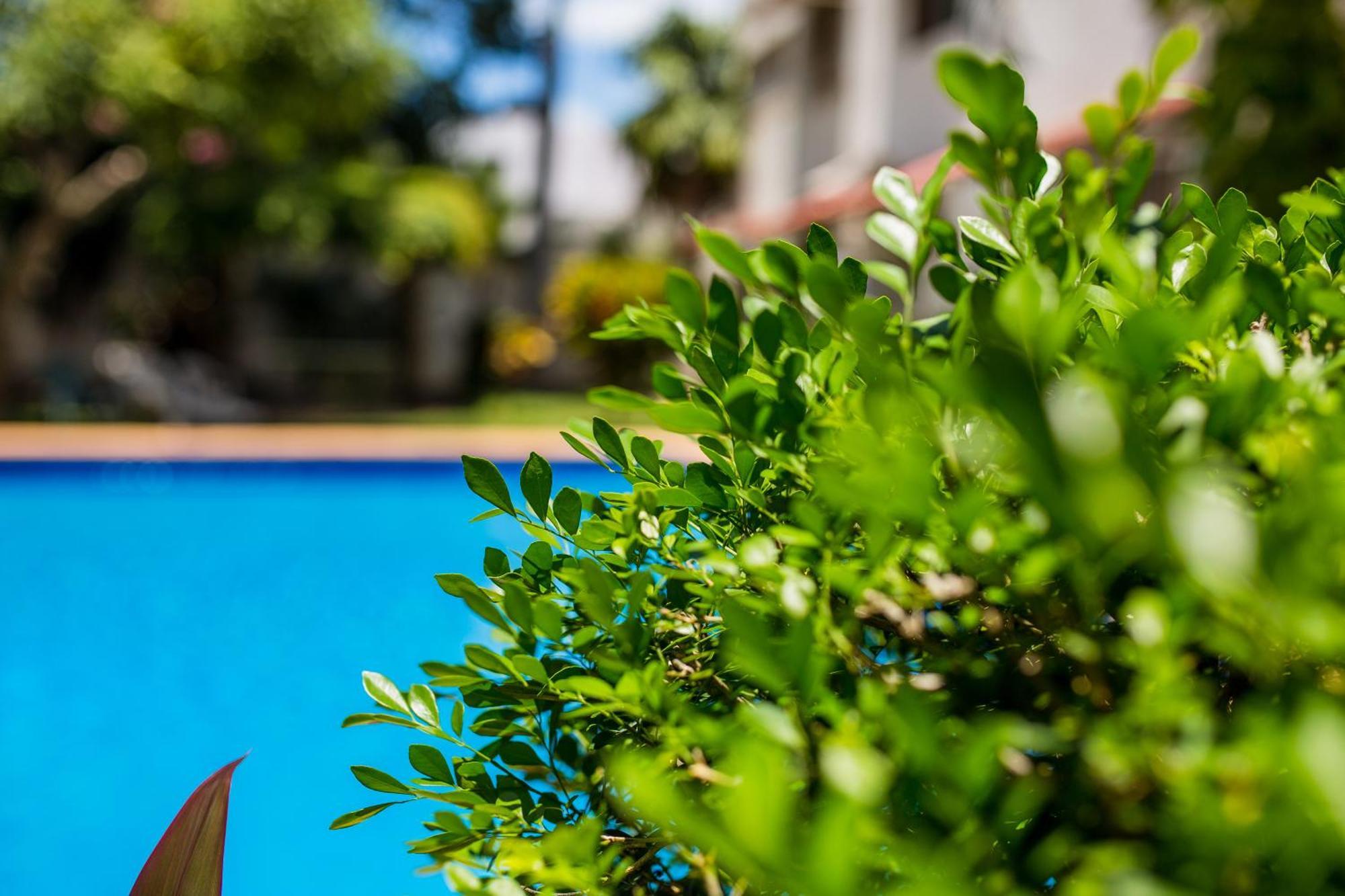 Casa Blanca Boutique & Organic Bed and Breakfast Cancún Eksteriør billede