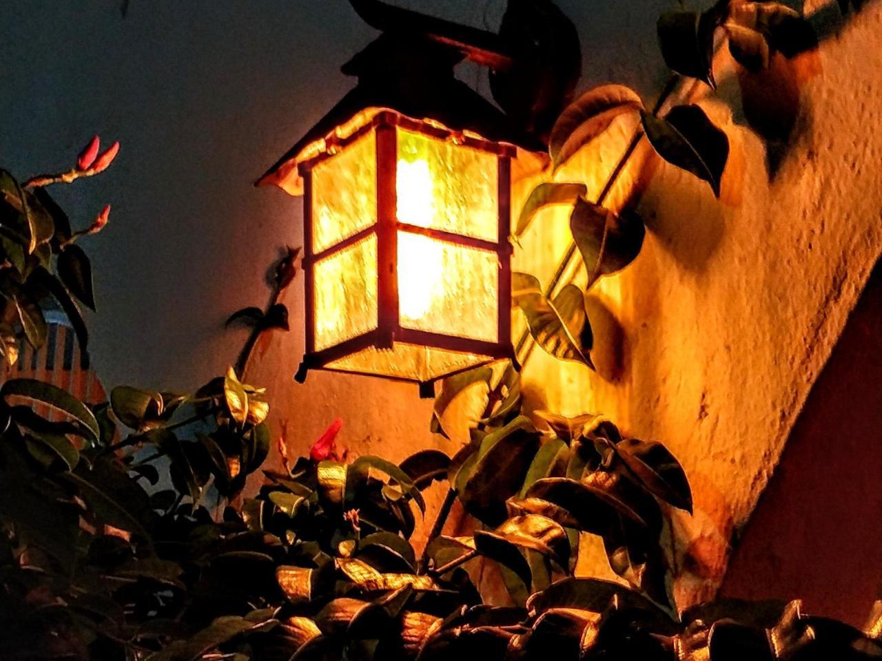 Casa Blanca Boutique & Organic Bed and Breakfast Cancún Eksteriør billede
